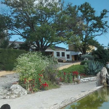 La Escuela Del Campo Bed & Breakfast Setenil De Las Bodegas Exterior photo