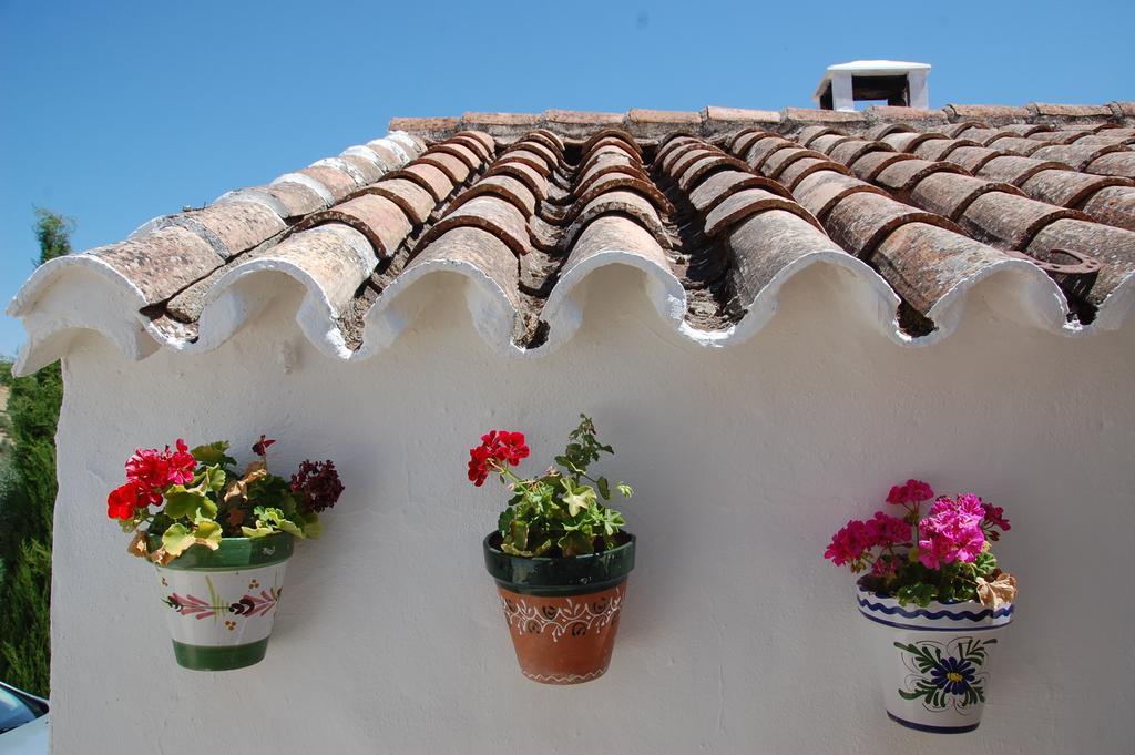 La Escuela Del Campo Bed & Breakfast Setenil De Las Bodegas Exterior photo